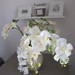Guest House Suite 3* Olbia