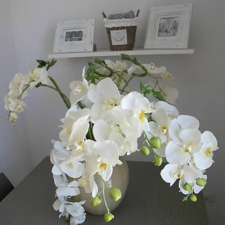 Guest House Suite 4* Όλμπια