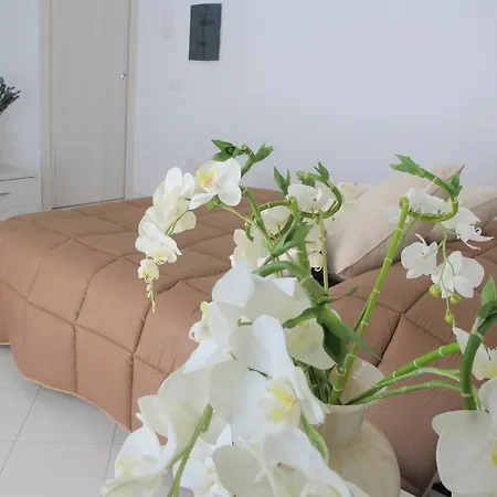 Guest House Suite 4* Όλμπια