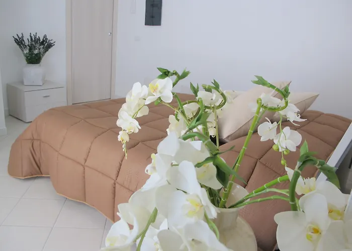 Guest House Suite אולביה