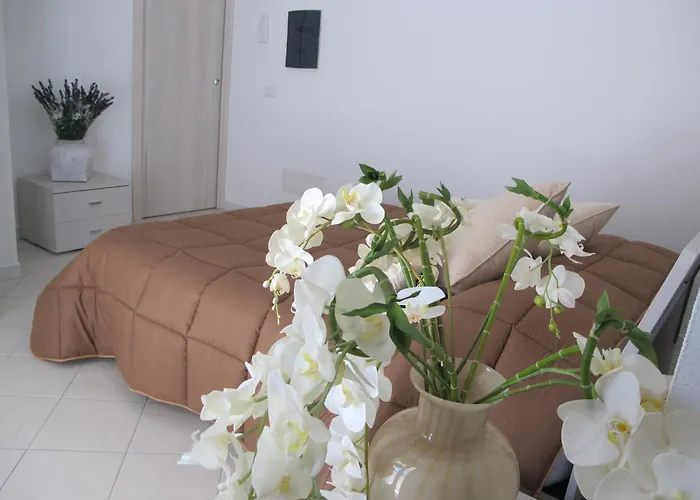 Guest House Suite 3* אולביה