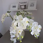 Guest House Suite 3* Όλμπια