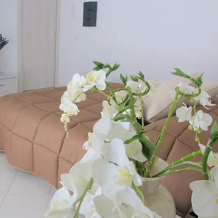 Guest House Suite Ольбія