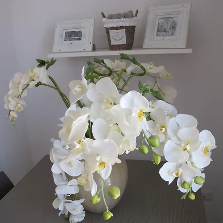 Guest House Suite 3* Ольбія