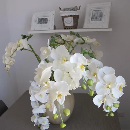 Guest House Suite 3* オルビア
