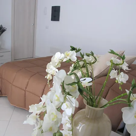 Guest House Suite 3* Ольбія